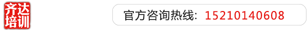 肏外国老女人屄齐达艺考文化课-艺术生文化课,艺术类文化课,艺考生文化课logo